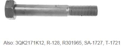 Torque Arm Bolt E-1965 TRS3028
