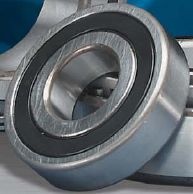 206SS Pilot Bearing 206SS