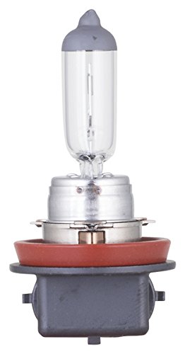 Philips H8B1 Fog Lamp Bulb H8