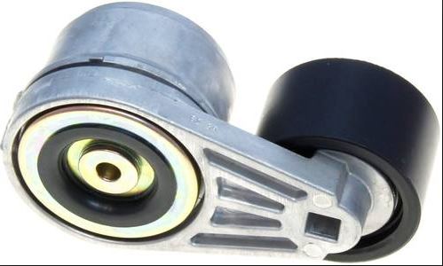 Tensioner Assembly 816.49511