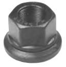 Flanged Cap Nut M-146