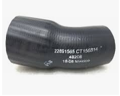 Coolant Hose 561.62565