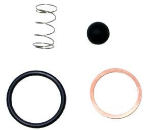 AD-2 Dryer Check Valve Kit K287298