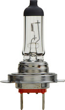 Philips H7B1 Headlamp Bulb H7